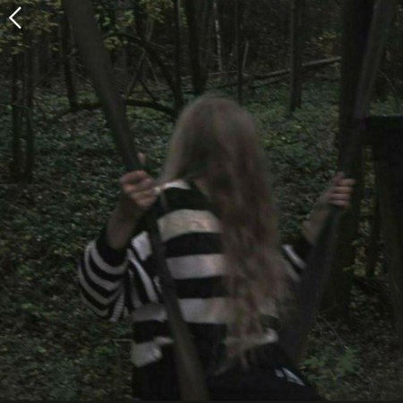  عکس جنگل شمال در شب