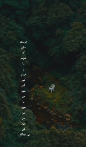  عکس جنگل شمال در شب