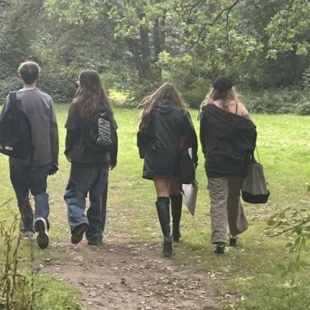  عکس جنگل شمال در شب