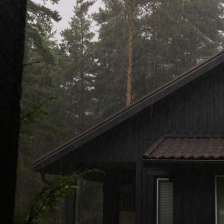  عکس جنگل شمال در شب