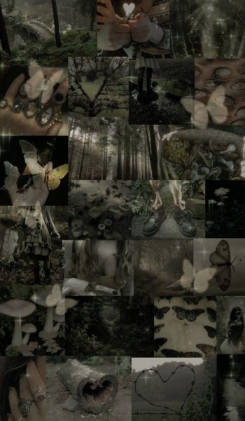  عکس جنگل شمال در شب