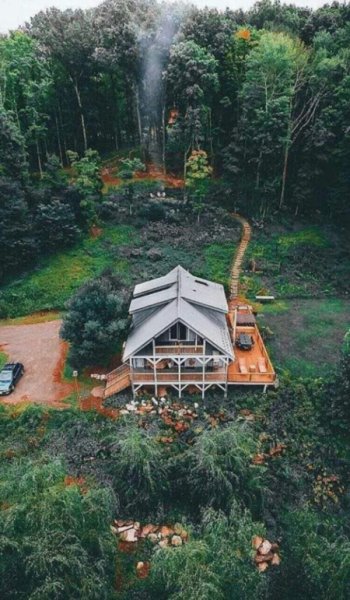  عکس جنگل شمال در شب