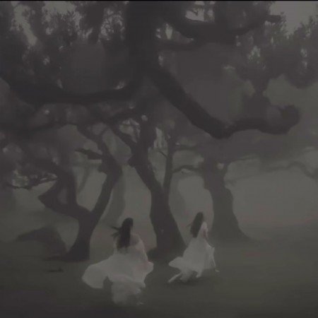  عکس جنگل شمال در شب