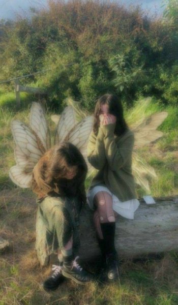  عکس جنگل شمال در شب