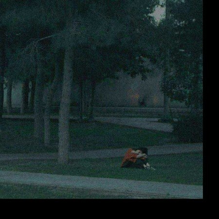  عکس جنگل شمال در شب