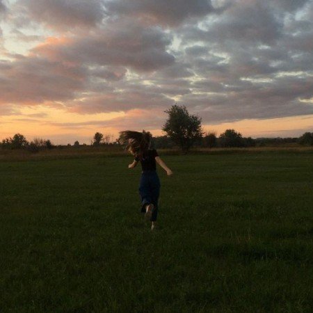  عکس جنگل شمال در شب