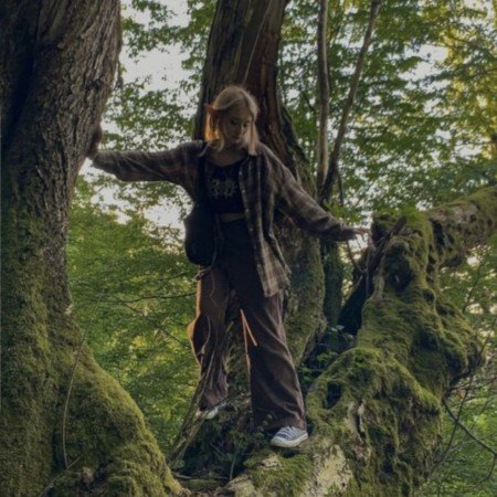  عکس جنگل شمال در شب