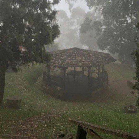  عکس جنگل شمال در شب