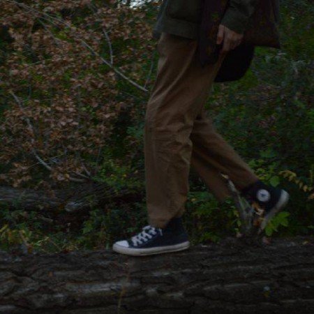  عکس جنگل شمال در شب