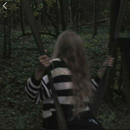  عکس جنگل شمال در شب