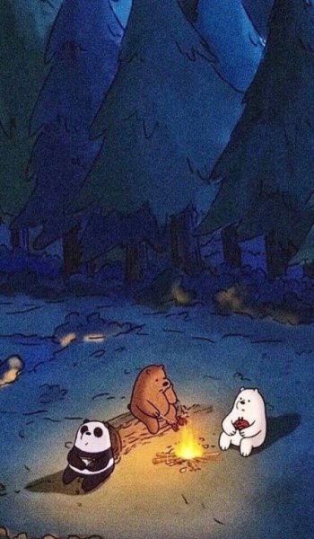  عکس جنگل شمال در شب