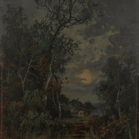  عکس جنگل شمال در شب