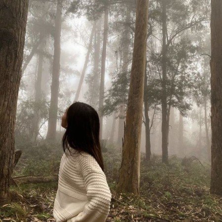  عکس جنگل شمال در شب