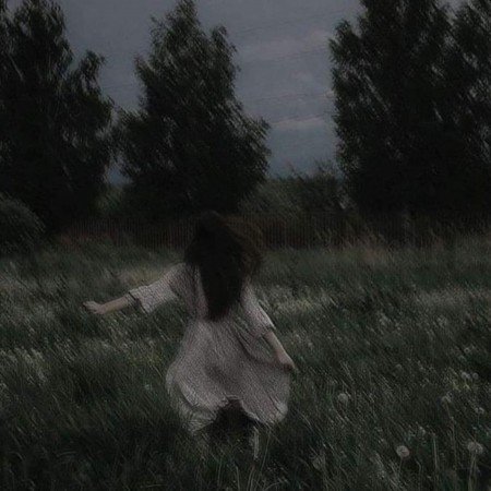  عکس جنگل شمال در شب