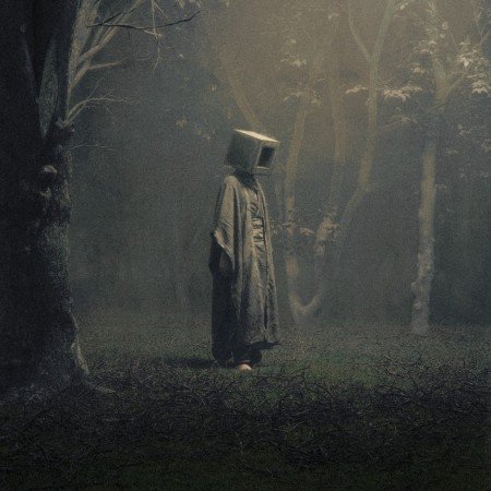  عکس جنگل شمال در شب