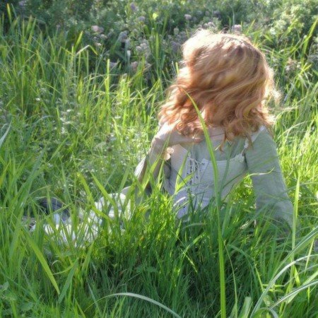  عکس جنگل شمال در شب