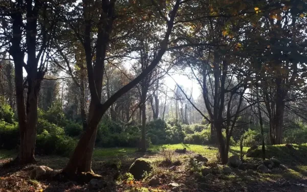  عکس طبیعت شمال گیلان