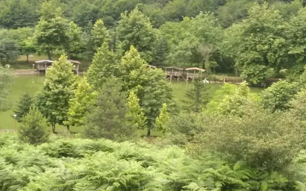  عکس طبیعت شمال گیلان