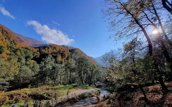  عکس طبیعت شمال گیلان