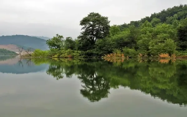  عکس طبیعت شمال گیلان