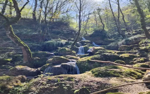  عکس طبیعت شمال گیلان