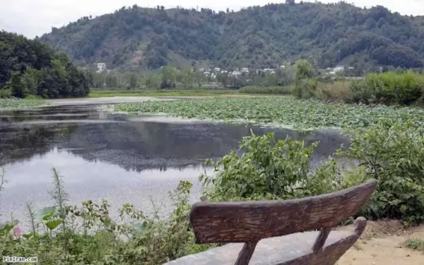  عکس طبیعت شمال گیلان