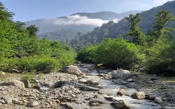  عکس طبیعت شمال گیلان