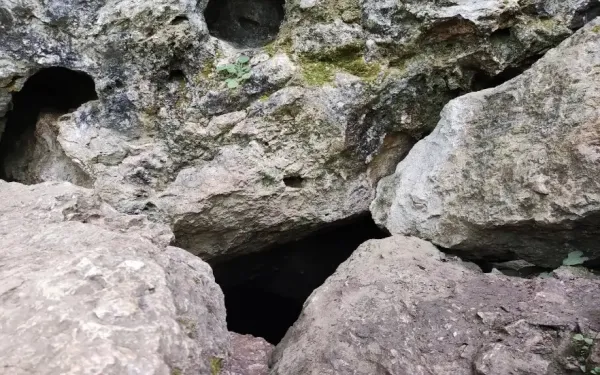  عکس طبیعت شمال گیلان