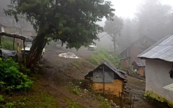  عکس طبیعت شمال گیلان