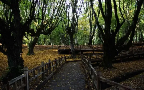  عکس طبیعت شمال گیلان