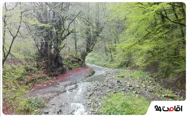  عکس شمال چالوس