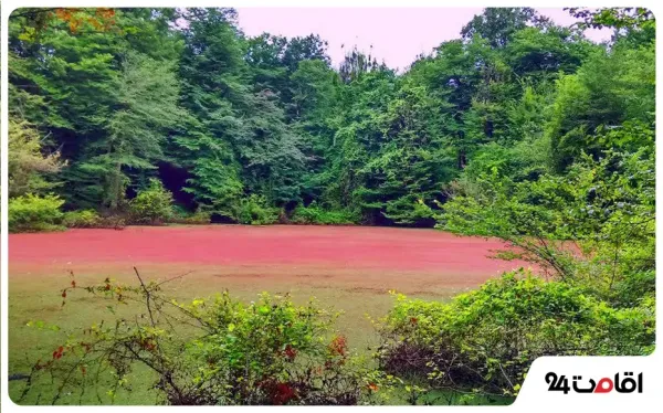  عکس شمال چالوس