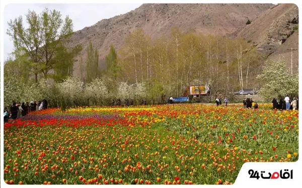  عکس شمال چالوس