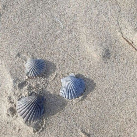  عکس دریای شمال