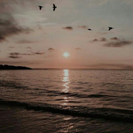  عکس دریای شمال