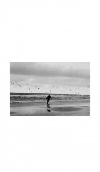  عکس دریای شمال