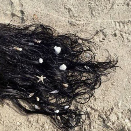  عکس دریای شمال