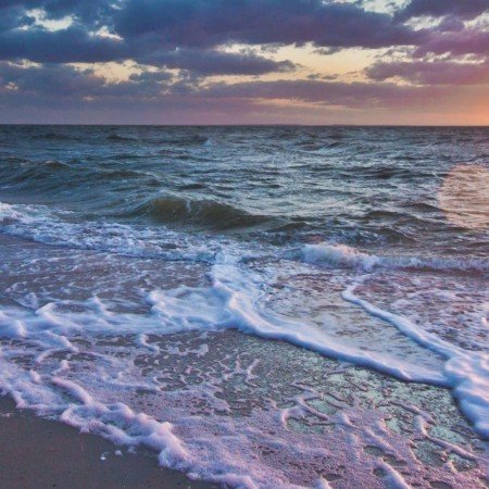 عکس دریای شمال واقعی