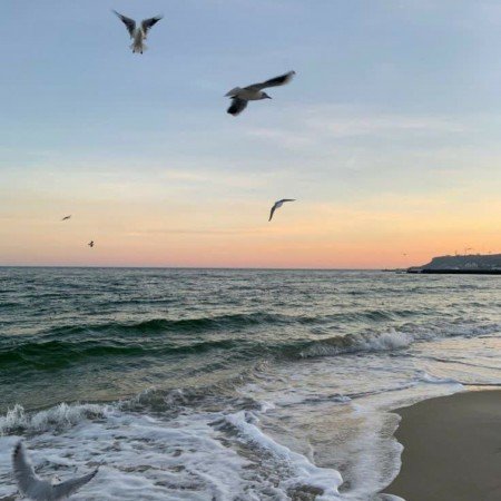  عکس دریای شمال واقعی