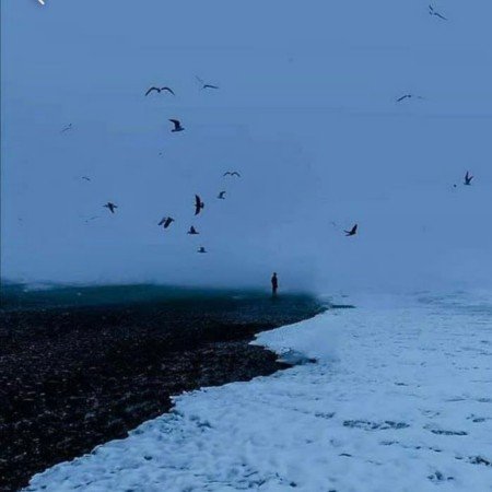  عکس دریای شمال واقعی