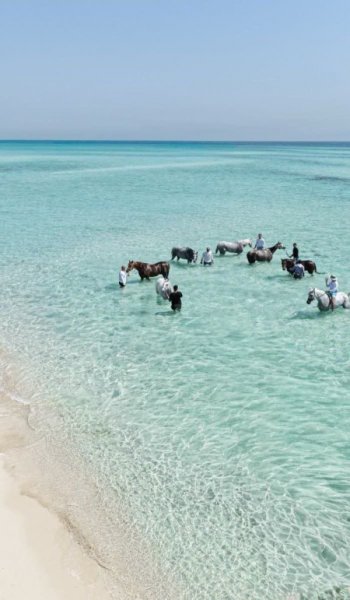  عکس دریای شمال واقعی