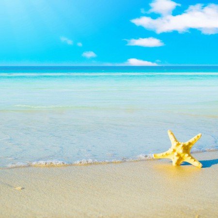  عکس دریای شمال واقعی