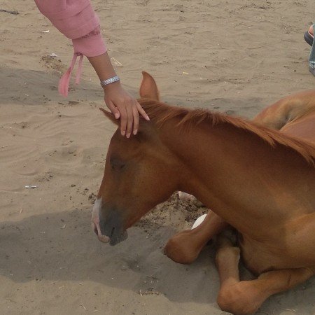  عکس دریای شمال واقعی