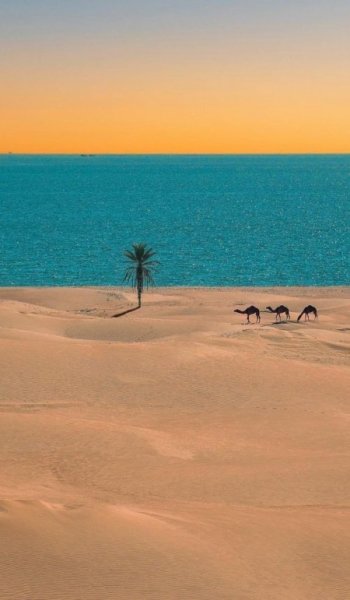  عکس دریا شمال در شب