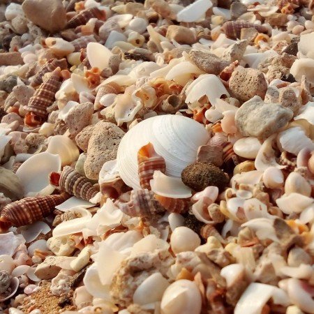  عکس دریا شمال در شب