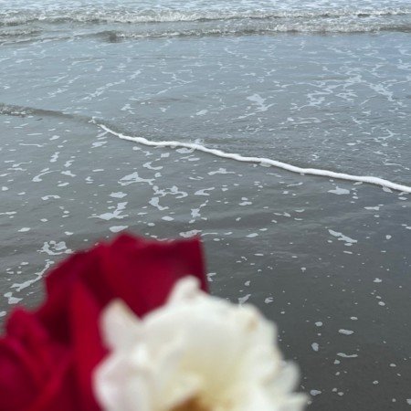  عکس دریا شمال در شب