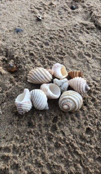  عکس دریا شمال در شب