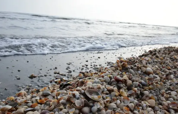  عکس دریا شمال رامسر