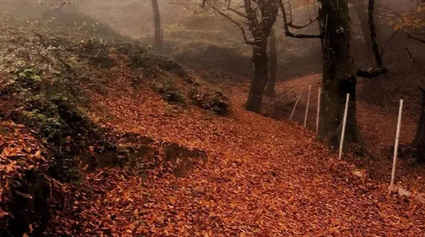  عکس دریا شمال در زمستان