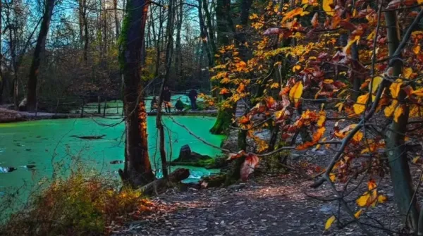  عکس دریا شمال در زمستان